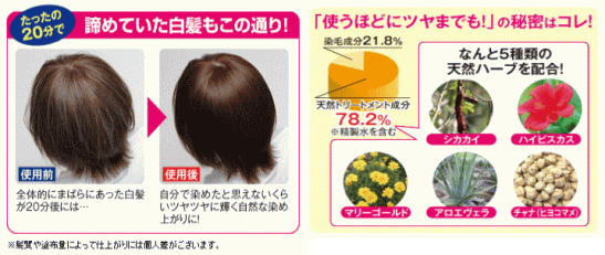 ピュアハーバルヘアカラー100